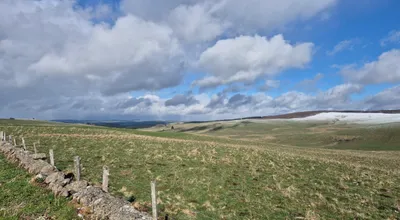 Randonnées sur le Plateau d'Aubrac