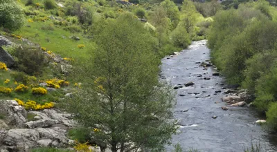 Torrent glaciaire Le Bès